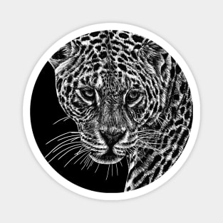 Jaguar cat ink illustration Magnet